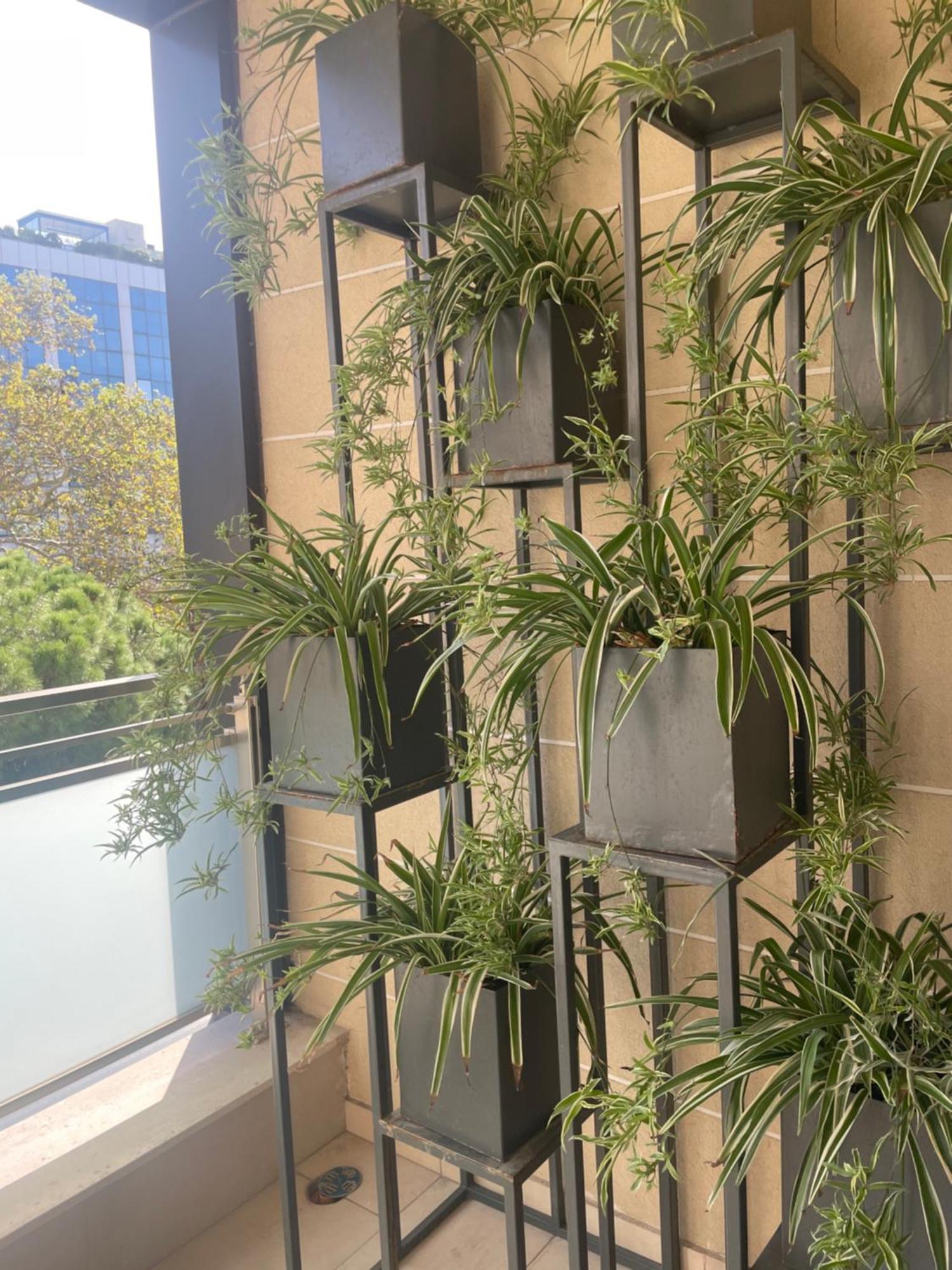 Tirana Lux Apartments מראה חיצוני תמונה